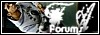 The Alley Forums