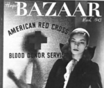 the Harper's Bazaar photo
