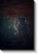 "Panther" -&nbsp; Acrylic on Canvas 1990