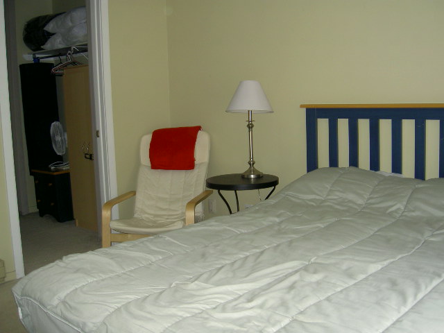 master bedroom (queen)