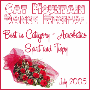 Category Awards