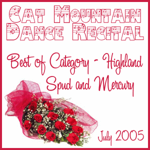 Category Awards