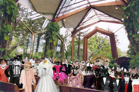 Mewsette Walks Down the Aisle
