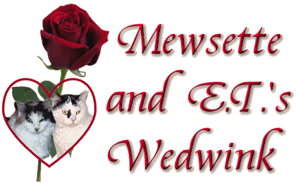 Mewsette and E.T.'s WedWink