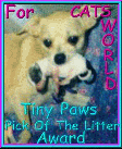 Thank you Tiny Paws!