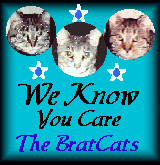 Visit The Brat Cats!!!