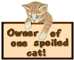 Actually, TWO cats!