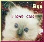 My RAGDOLL Page