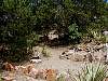 SANGRECloseUpOfMainTrailhead.jpg