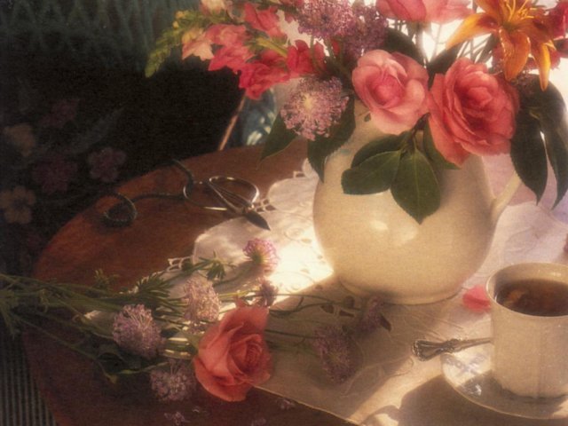 Photograph
