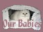 Our Babies
