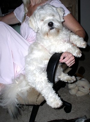 benji chair with mom