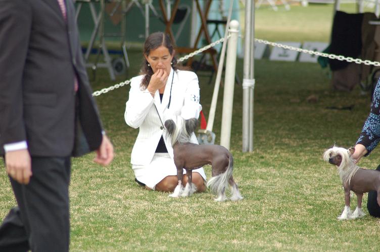 BOSweeps Butters & Mercedes