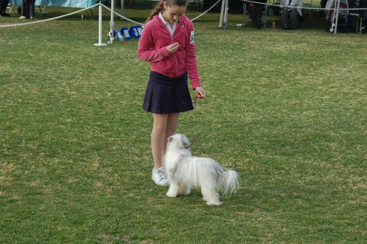Best Jr Handler- Sydney & Ginger