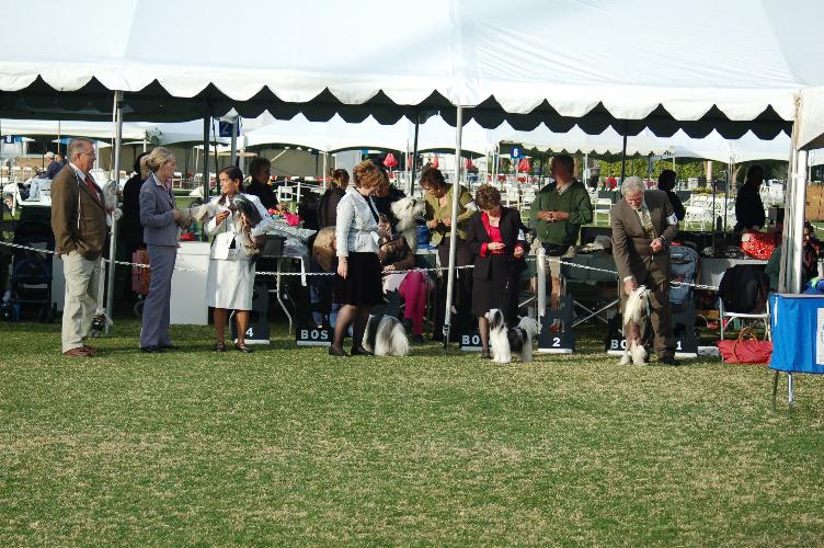 BOB, BOW, BOS, 3AOMs