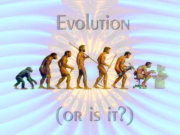 evolution