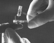 Lan5.gif (34679 bytes)