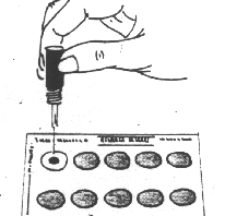 Vd2.gif (13368 bytes)