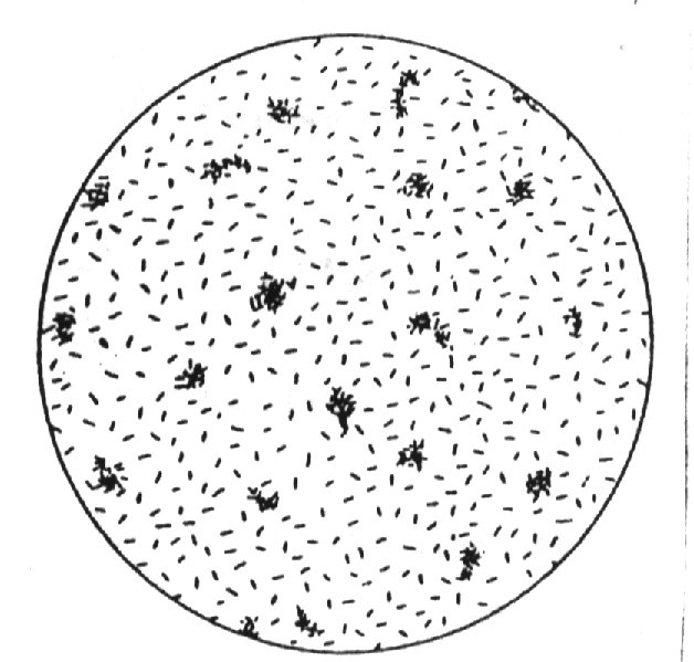 Vdresul2.bmp (377250 bytes)