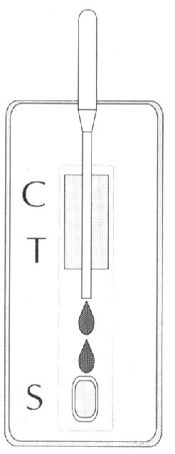 heptest2.gif (29262 bytes)
