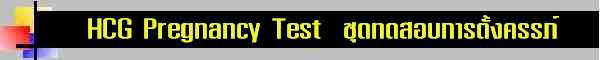 wpe3.jpg (7155 bytes)