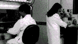 qc2.gif (26596 bytes)