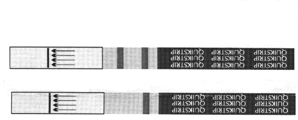 resultst.gif (14521 bytes)