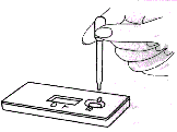 testpp.gif.GIF (5668 bytes)