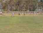 thm_DANGOAL1.jpg