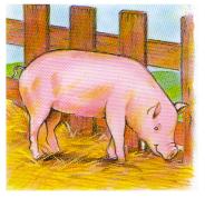 Cochon