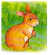 Lapin