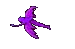 fee13dr.gif (2,70 Ko)