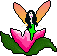 fee6dr.gif (6,11 Ko)