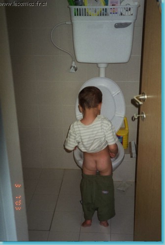 PiPi.jpg