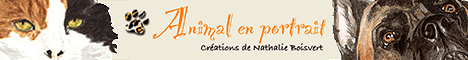 Animal en portrait cr&eacute;ations de Nathalie Boisvert - portrait animalier
