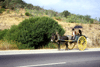 - Albufeira - 