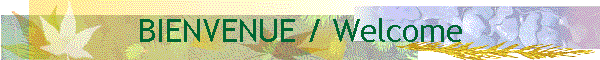 BIENVENUE / Welcome