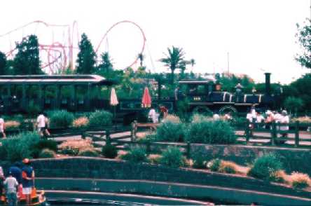 train � vapeur et jardins