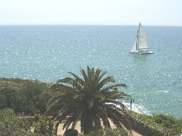 Le catamaran passe devant chez vous ! (avril 2003)