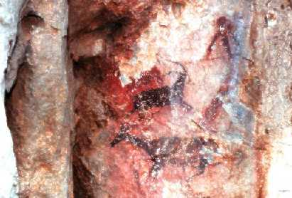 Dessins pr�historiques et n�nuphars