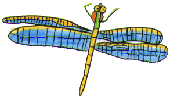 libell.gif (16880 octets)