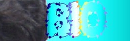 Bio