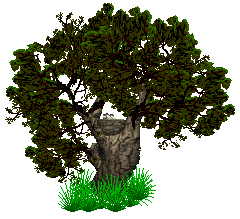 arbre17.gif (35,3 Ko)