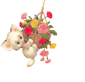 chat10.gif (17,6 Ko)