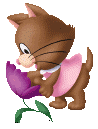 chat41.gif (16,8 Ko)