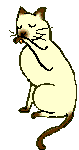 chat45.gif (8,06 Ko)