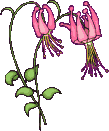 fleur030g.gif (8,25 Ko)