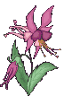 fleur27.gif (11,7 Ko)