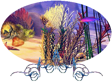 poissons7.gif (308 Ko)
