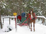 Chuck en sleigh 5.jpg (92519 octets)